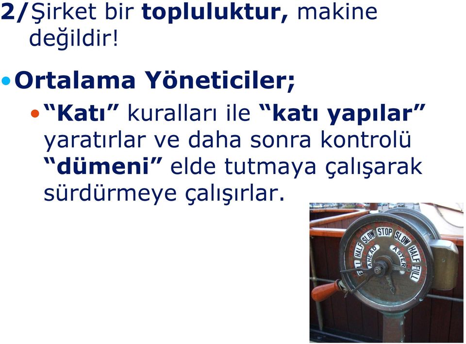 yapılar yaratırlar ve daha sonra kontrolü