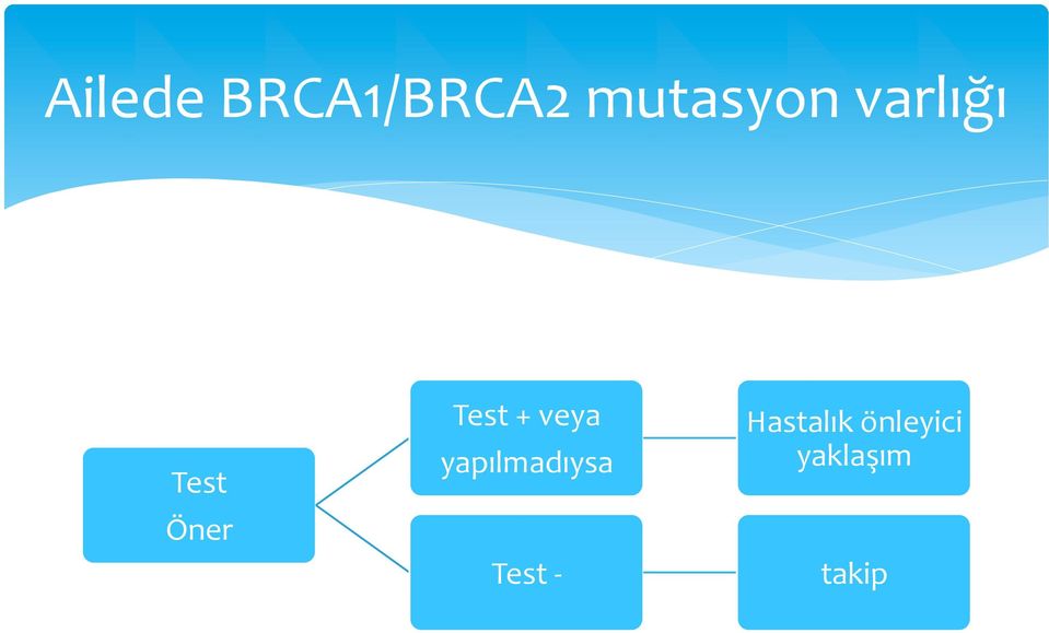 veya yapılmadıysa Test -