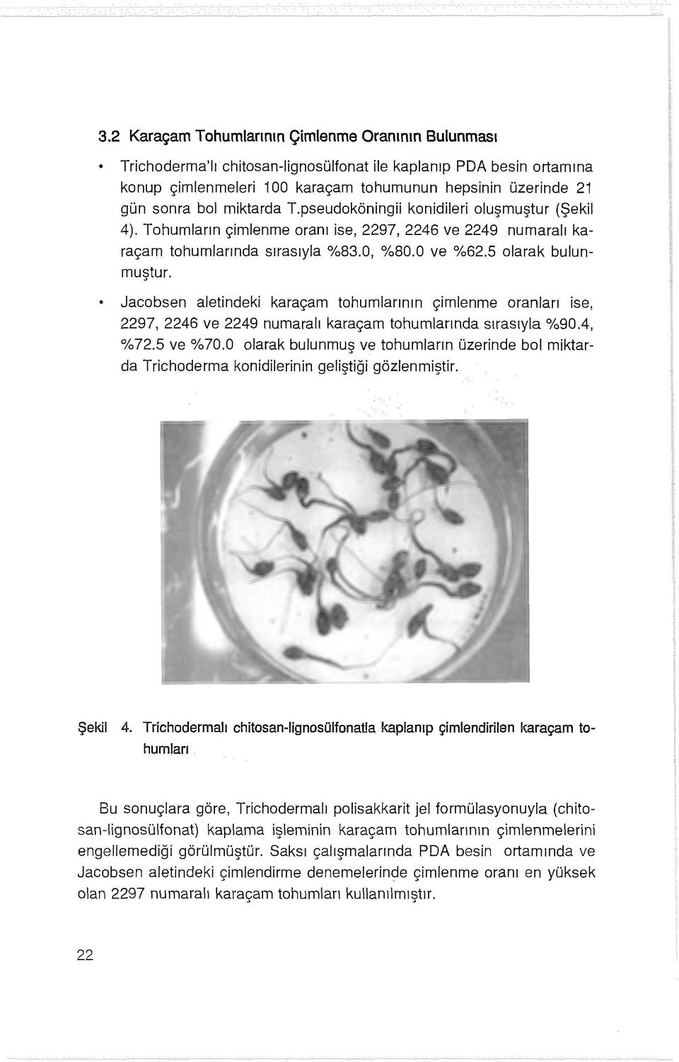 Jacobsen aletindeki karaçam tohumlarının çimlenme oranları ise, 2297, 2246 ve 2249 numaralı karaçam tohumlarında sırasıyla %90.4, %72.5 ve %70.