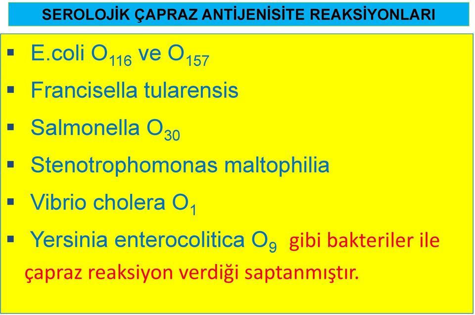 Stenotrophomonas maltophilia Vibrio cholera O 1 Yersinia