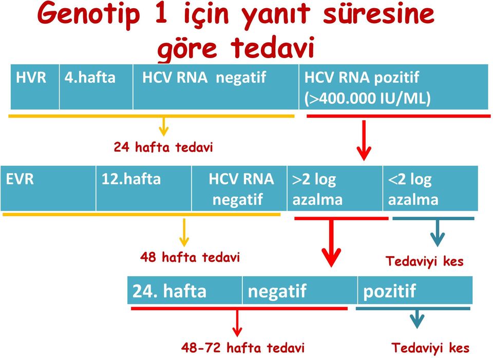 000 IU/ML) 24 hafta tedavi EVR 12.