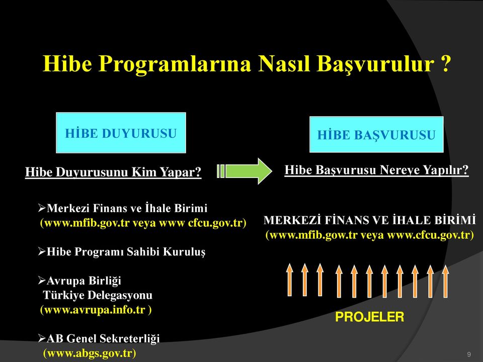 tr veya www cfcu.gov.tr) Hibe Programı Sahibi Kuruluş MERKEZİ FİNANS VE İHALE BİRİMİ (www.mfib.gow.