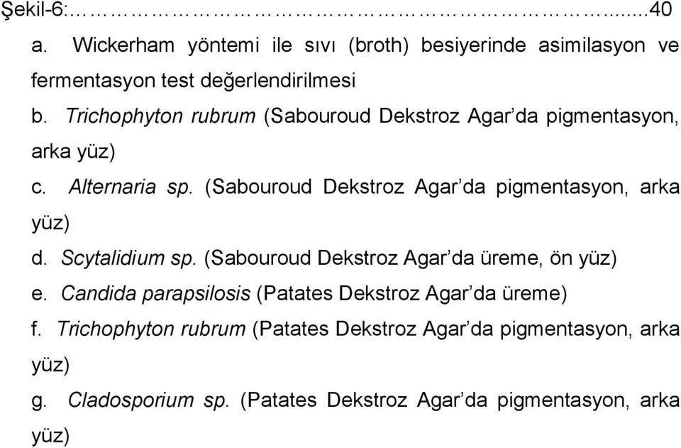 (Sabouroud Dekstroz Agar da pigmentasyon, arka yüz) d. Scytalidium sp. (Sabouroud Dekstroz Agar da üreme, ön yüz) e.