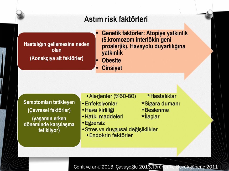 (yaşamın erken döneminde karşılaşma tetikliyor) Alerjenler (%60-80) *Hastalıklar Enfeksiyonlar *Sigara dumanı Hava kirliliği