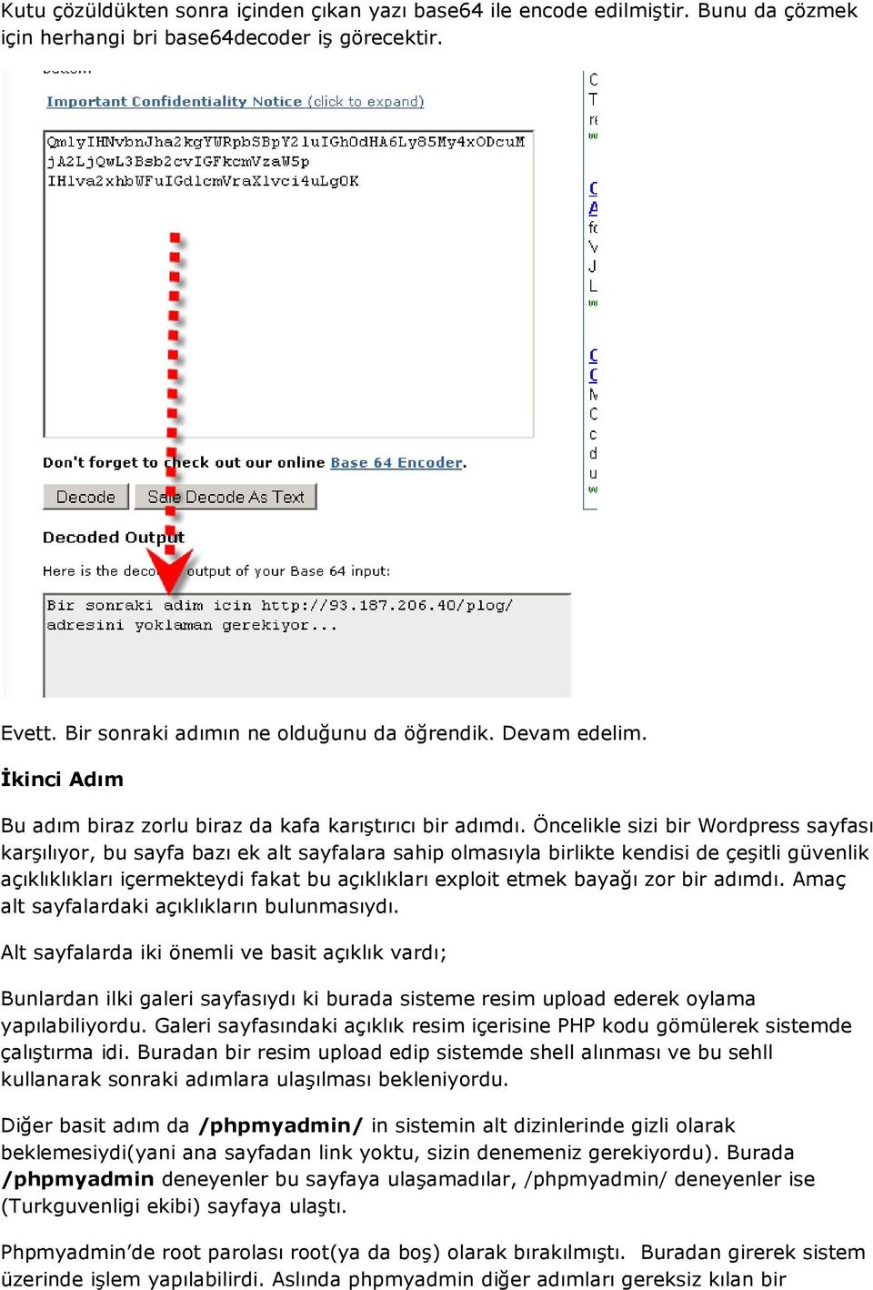 Öncelikle sizi bir Wordpress sayfası karşılıyor, bu sayfa bazı ek alt sayfalara sahip olmasıyla birlikte kendisi de çeşitli güvenlik açıklıklıkları içermekteydi fakat bu açıklıkları exploit etmek