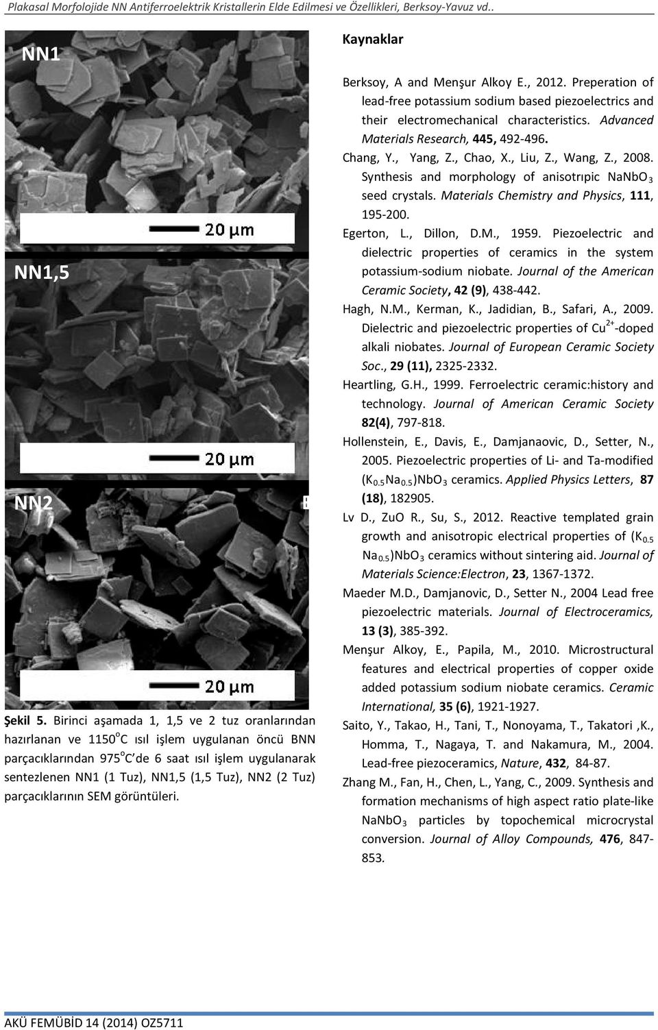 NN2 (2 Tuz) parçacıklarının SEM görüntüleri. BNN1 Kaynaklar Berksoy, A and Menşur Alkoy E., 2012.