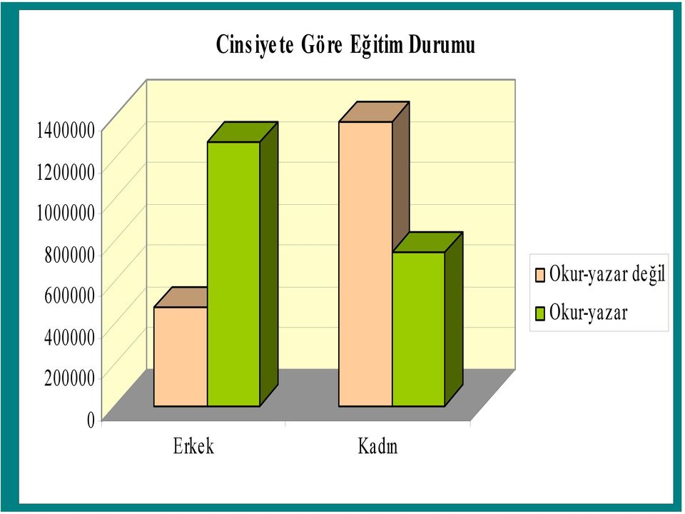 200000 0 Erkek Kadın Okur-yazar değil