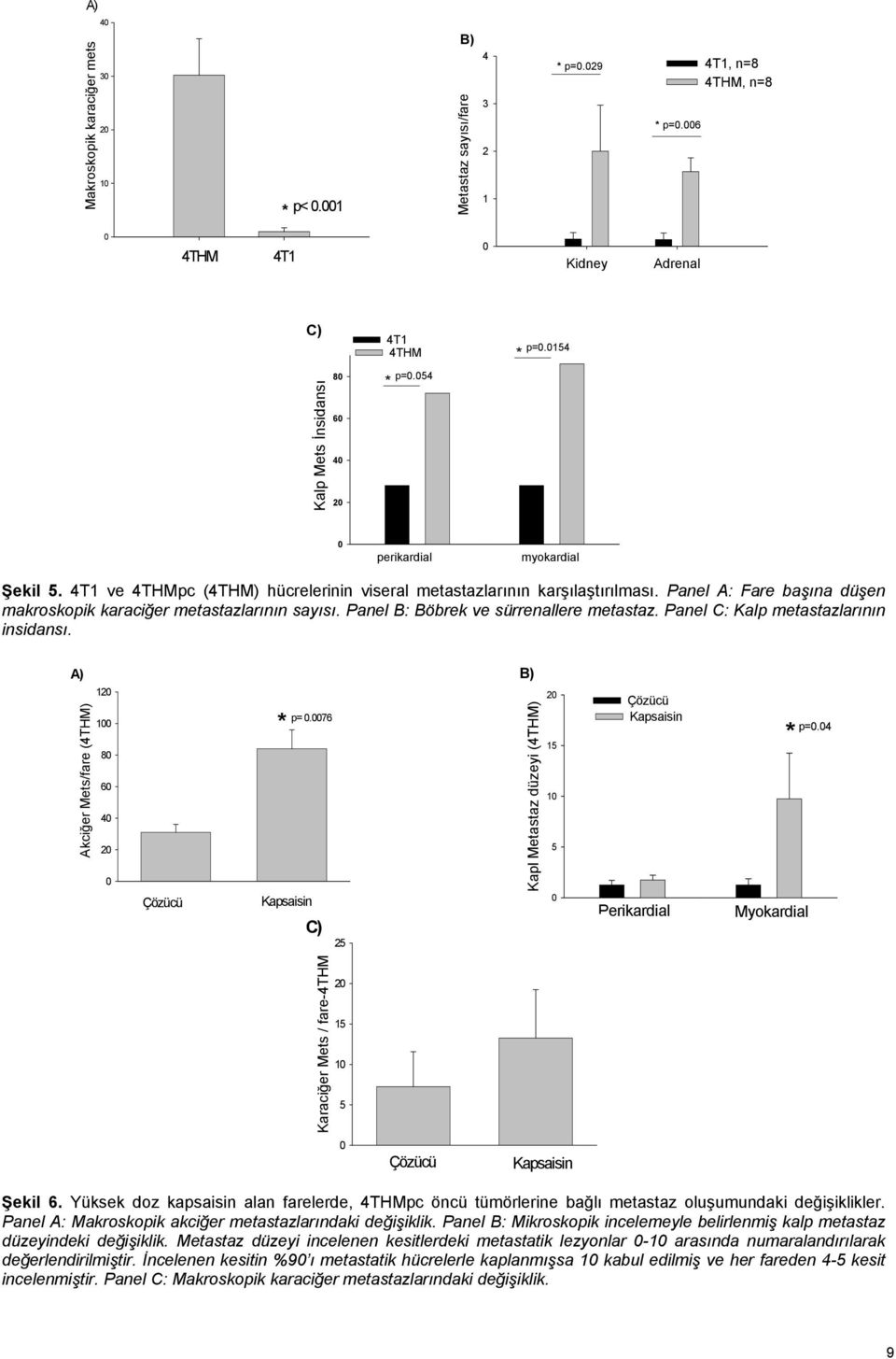 4T1 ve 4THMpc (4THM) hücrelerinin viseral metastazlarının karşılaştırılması. Panel A: Fare başına düşen makroskopik karaciğer metastazlarının sayısı. Panel B: Böbrek ve sürrenallere metastaz.