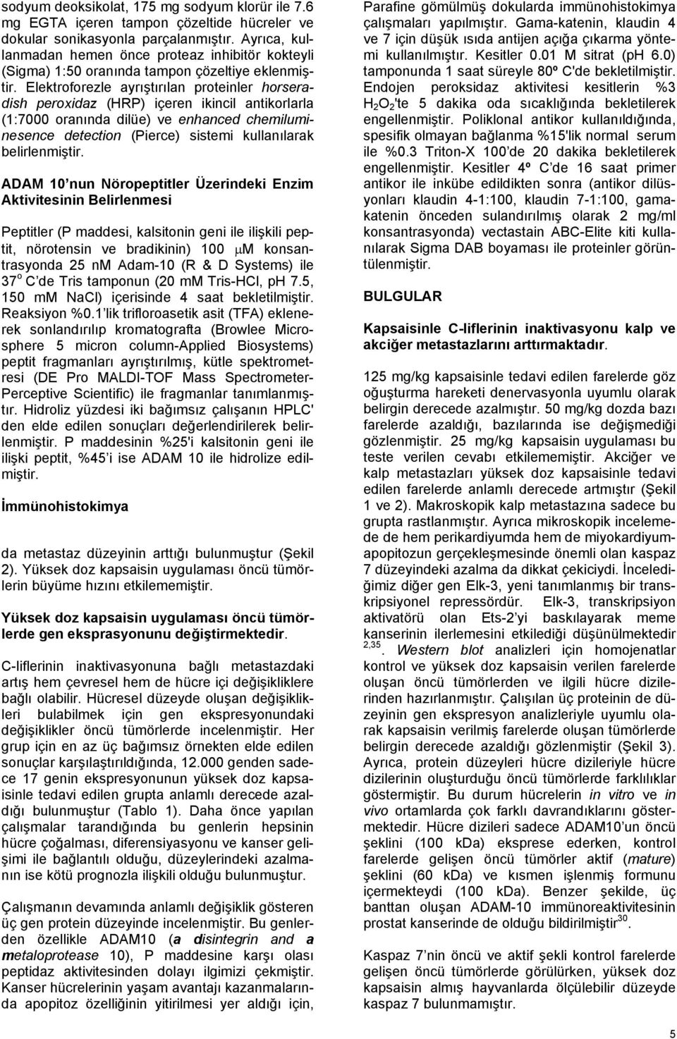 Elektroforezle ayrıştırılan proteinler horseradish peroxidaz (HRP) içeren ikincil antikorlarla (1:7000 oranında dilüe) ve enhanced chemiluminesence detection (Pierce) sistemi kullanılarak