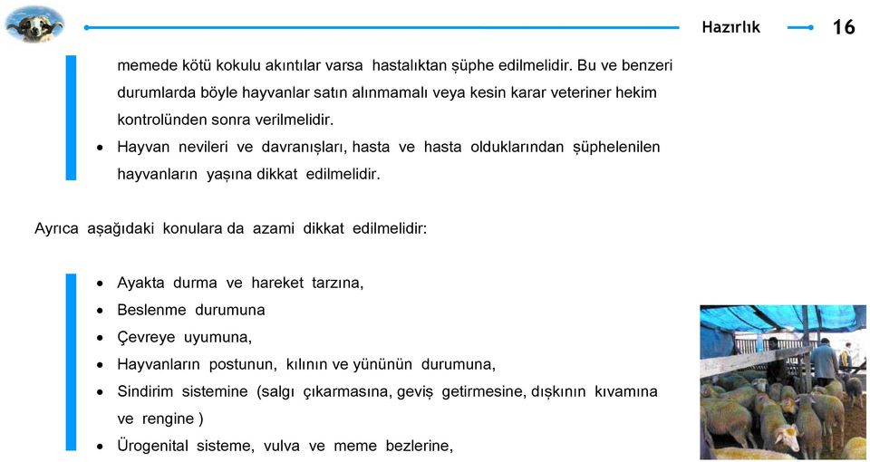 Hayvan nevileri ve davranışları, hasta ve hasta olduklarından şüphelenilen hayvanların yaşına dikkat edilmelidir.