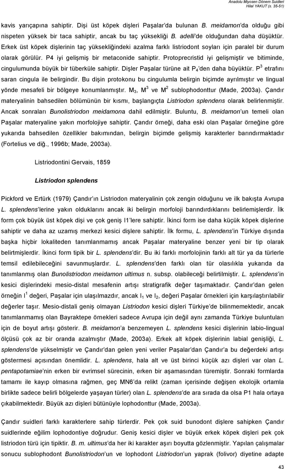 Protoprecristid iyi gelişmiştir ve bitiminde, cingulumunda büyük bir tüberküle sahiptir. Dişler Paşalar türüne ait P 4 den daha büyüktür. P 3 etrafını saran cingula ile belirgindir.