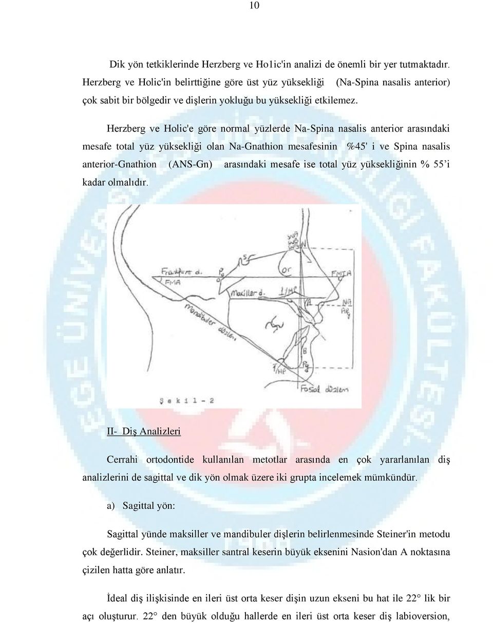 Herzberg ve Holic'e göre normal yüzlerde Na-Spina nasalis anterior arasındaki mesafe total yüz yüksekliği olan Na-Gnathion mesafesinin %45' i ve Spina nasalis anterior-gnathion (ANS-Gn) arasındaki