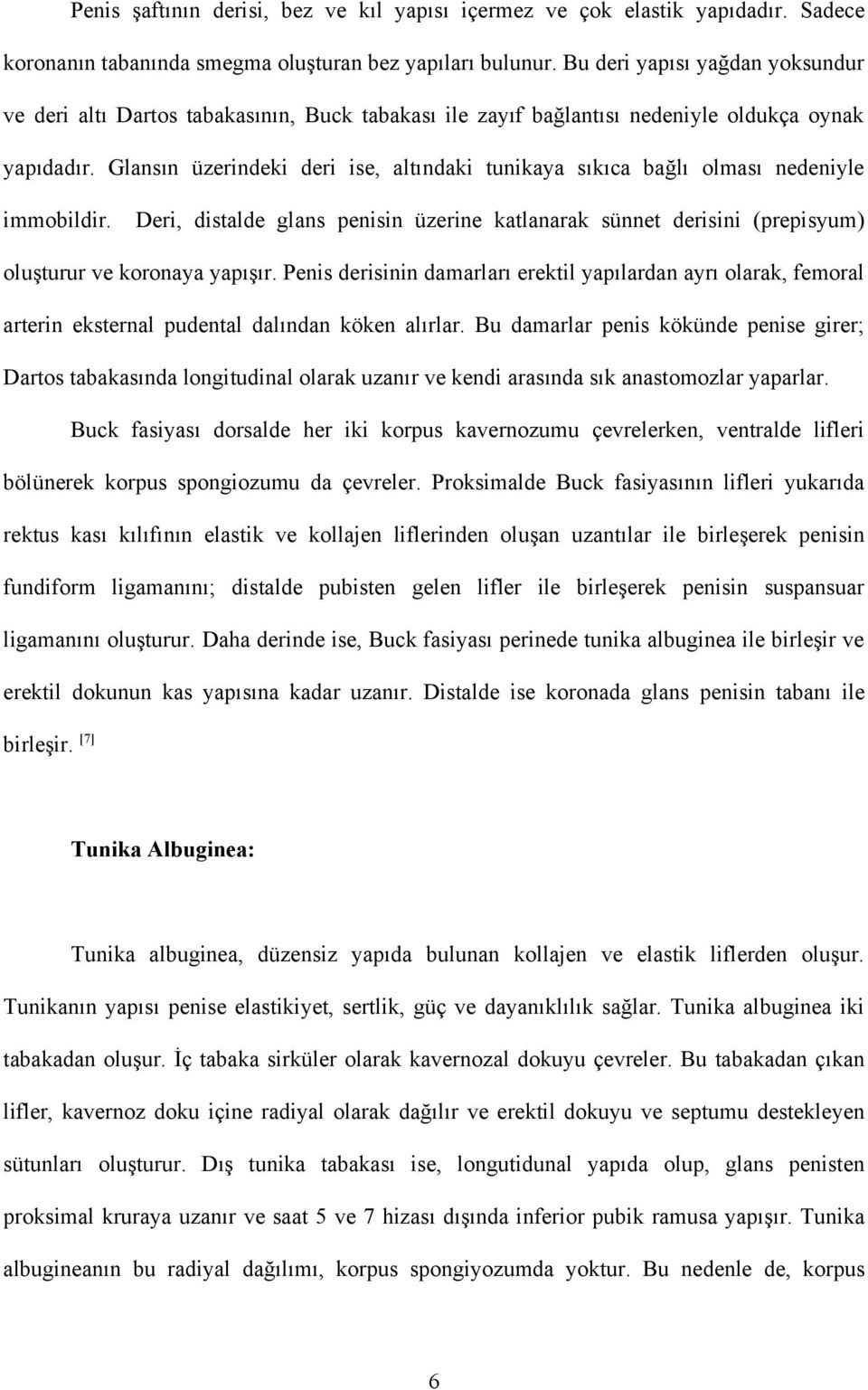 Glansın üzerindeki deri ise, altındaki tunikaya sıkıca bağlı olması nedeniyle immobildir. Deri, distalde glans penisin üzerine katlanarak sünnet derisini (prepisyum) oluşturur ve koronaya yapışır.