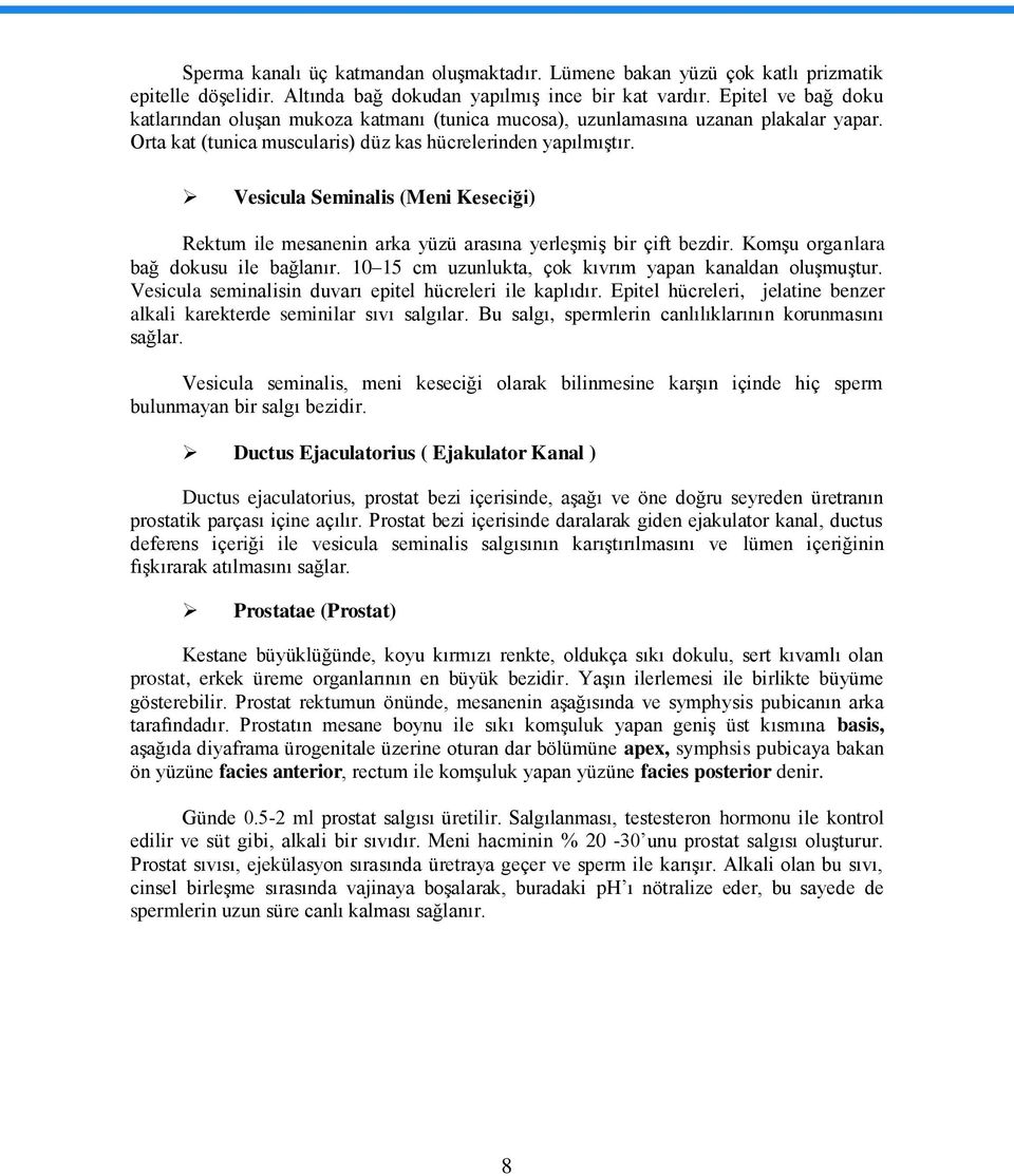 Vesicula Seminalis (Meni Keseciği) Rektum ile mesanenin arka yüzü arasına yerleģmiģ bir çift bezdir. KomĢu organlara bağ dokusu ile bağlanır. 10 15 cm uzunlukta, çok kıvrım yapan kanaldan oluģmuģtur.