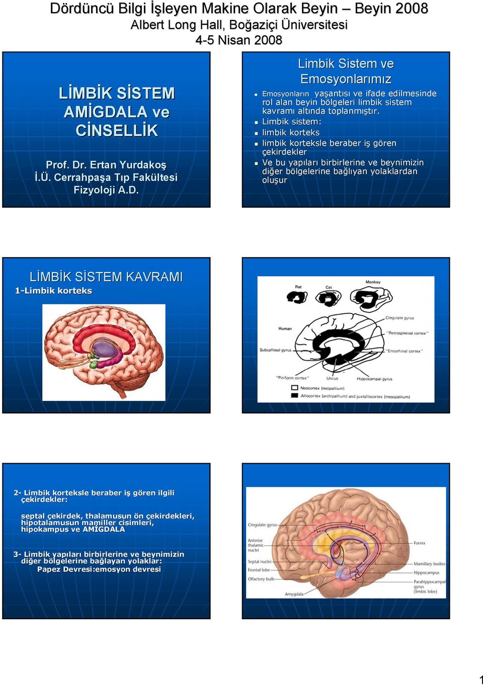 STEM KAVRAMI 1-Limbik korteks 2- Limbik korteksle beraber işi gören ilgili çekirdekler: septal çekirdek, thalamusun ön çekirdekleri, hipotalamusun mamiller cisimleri, hipokampus ve AMİGDALA 3-