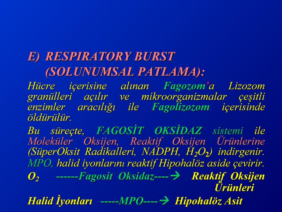 Bu süreçte, FAGOSİT OKSİDAZ sistemi ile Moleküler Oksijen, Reaktif Oksijen Ürünlerine (SüperOksit Radikalleri, NADPH, H