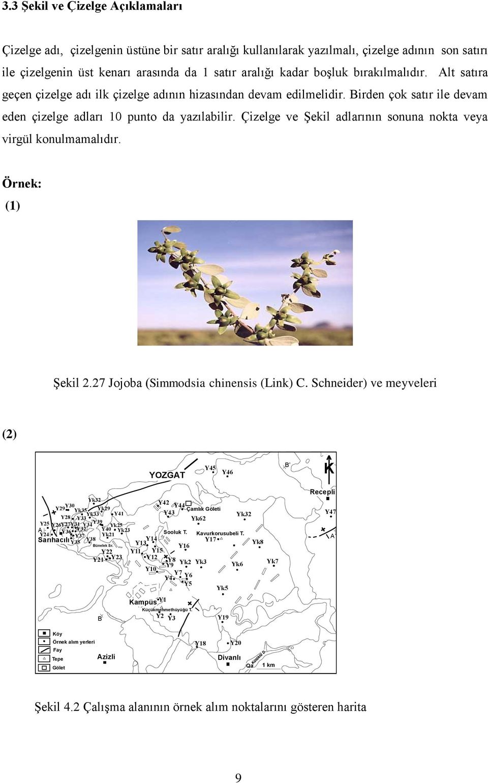 Çizelge ve Şekil adlarının sonuna nokta veya virgül konulmamalıdır. Örnek: (1) Şekil 2.27 Jojoba (Simmodsia chinensis (Link) C.