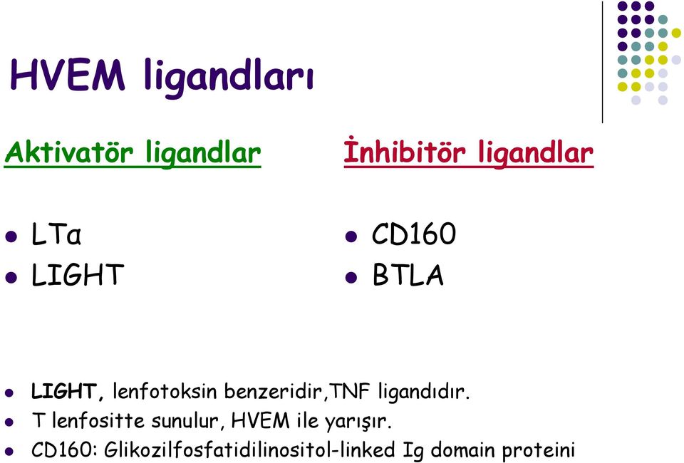 ligandıdır. T lenfositte sunulur, HVEM ile yarışır.