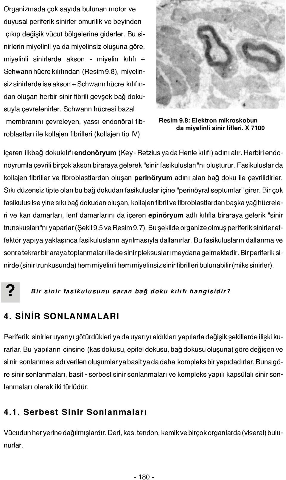 8), miyelinsiz sinirlerde ise akson + Schwann hücre kılıfından oluşan herbir sinir fibrili gevşek bağ dokusuyla çevrelenirler.