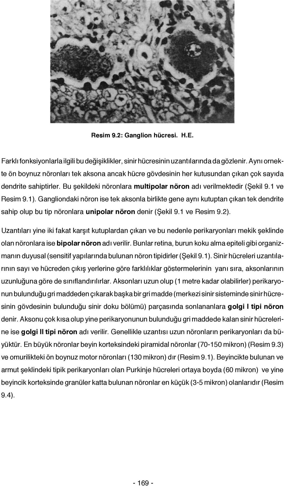 1 ve Resim 9.1). Gangliondaki nöron ise tek aksonla birlikte gene aynı kutuptan çıkan tek dendrite sahip olup bu tip nöronlara unipolar nöron denir (Şekil 9.1 ve Resim 9.2).