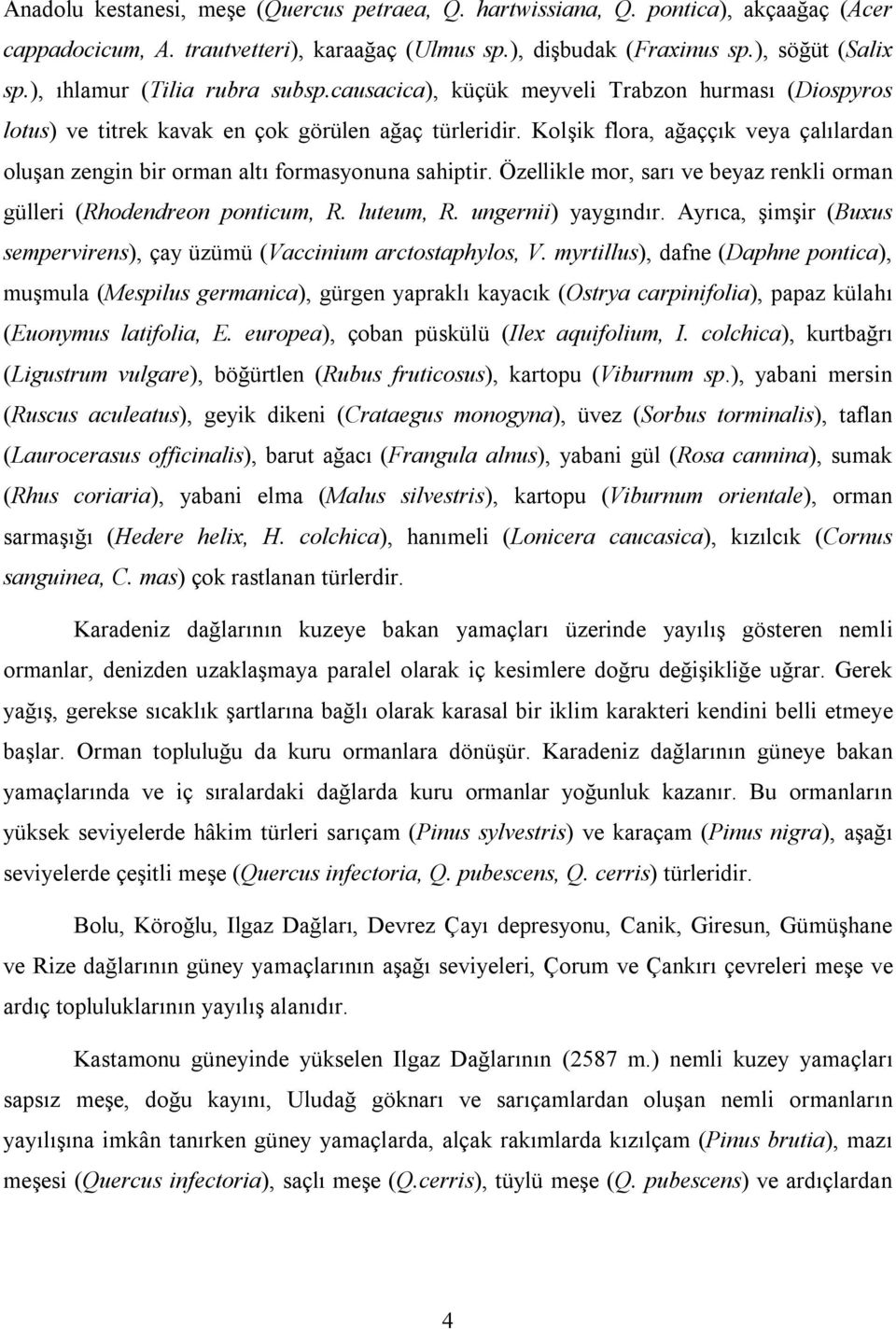 Kolşik flora, ağaççık veya çalılardan oluşan zengin bir orman altı formasyonuna sahiptir. Özellikle mor, sarı ve beyaz renkli orman gülleri (Rhodendreon ponticum, R. luteum, R. ungernii) yaygındır.