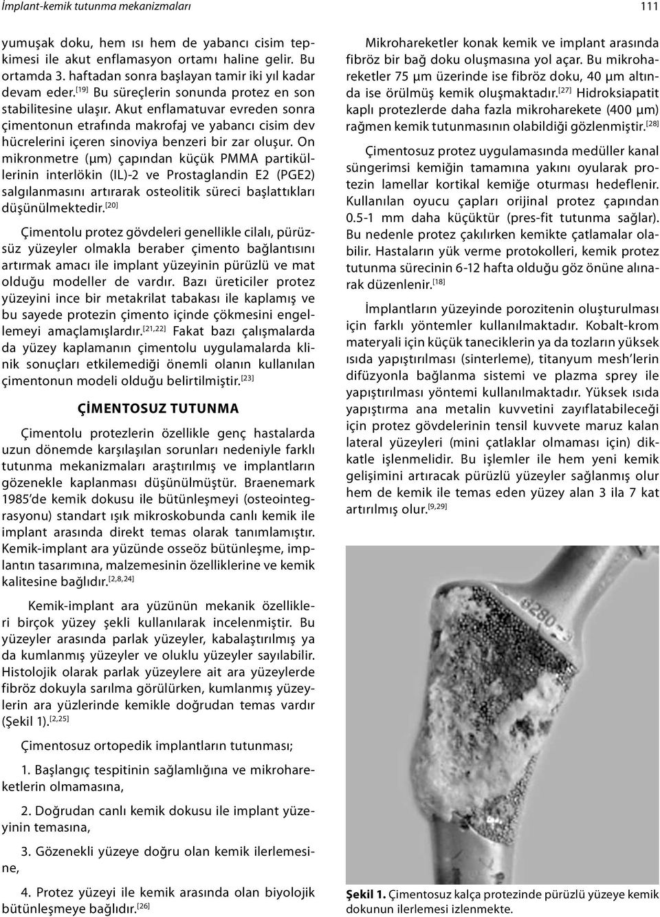 On mikronmetre (µm) çapından küçük PMMA partiküllerinin interlökin (IL)-2 ve Prostaglandin E2 (PGE2) salgılanmasını artırarak osteolitik süreci başlattıkları düşünülmektedir.