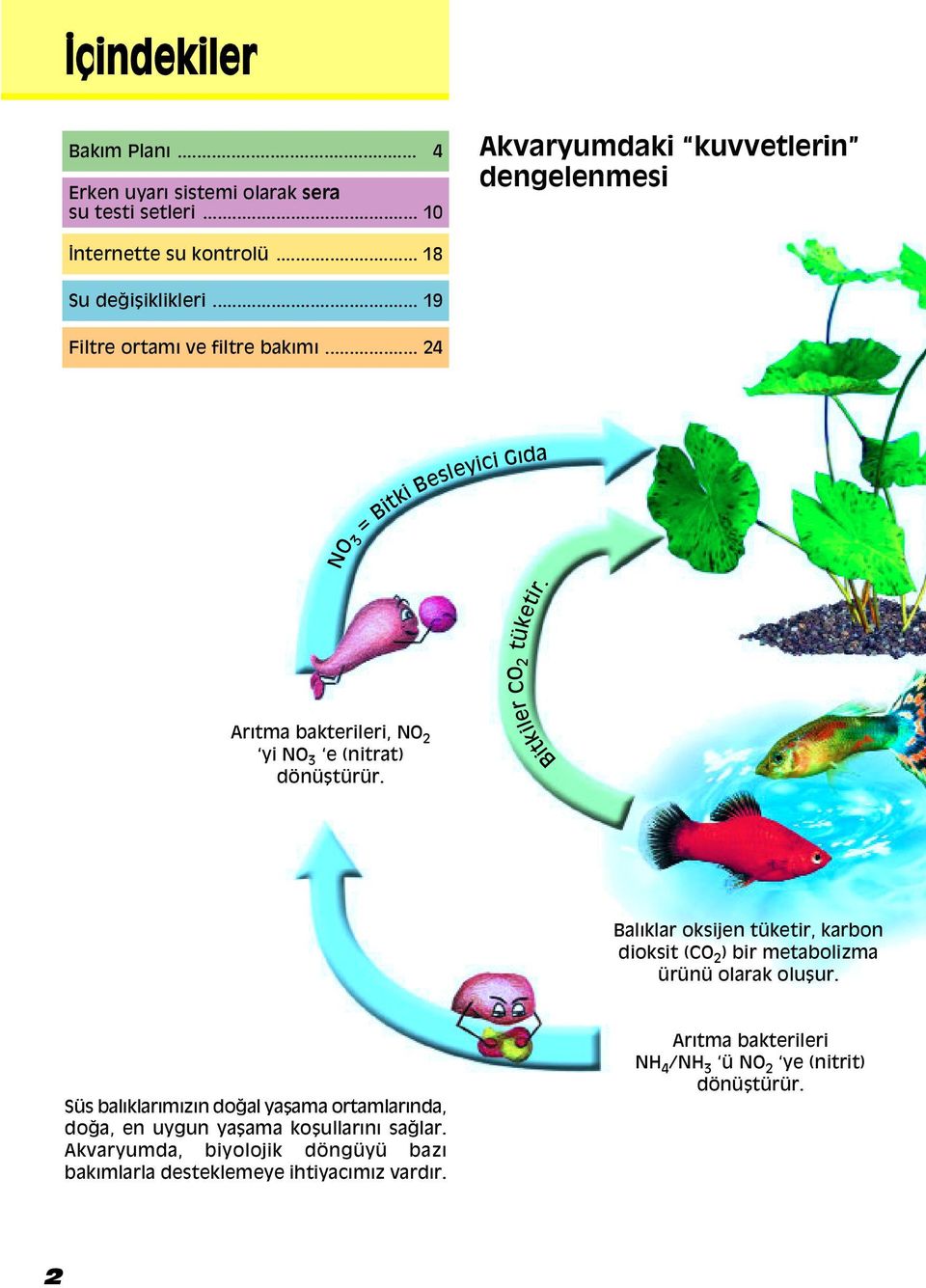 Arıtma bakterileri, NO 2 yi NO 3 e (nitrat) dönü türür. Balıklar oksijen tüketir, karbon dioksit (CO 2 ) bir metabolizma ürünü olarak olu ur.