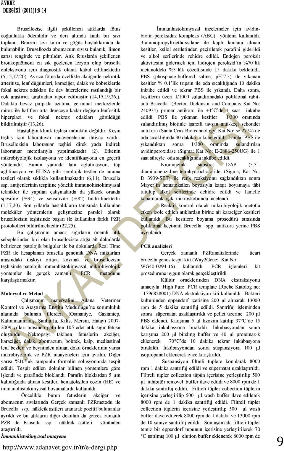 Atık fetuslarda şekillenen bronkopnömoni en sık gözlenen lezyon olup brusella enfeksiyonu için diagnostik olarak kabul edilmektedir (5,15,17,20).