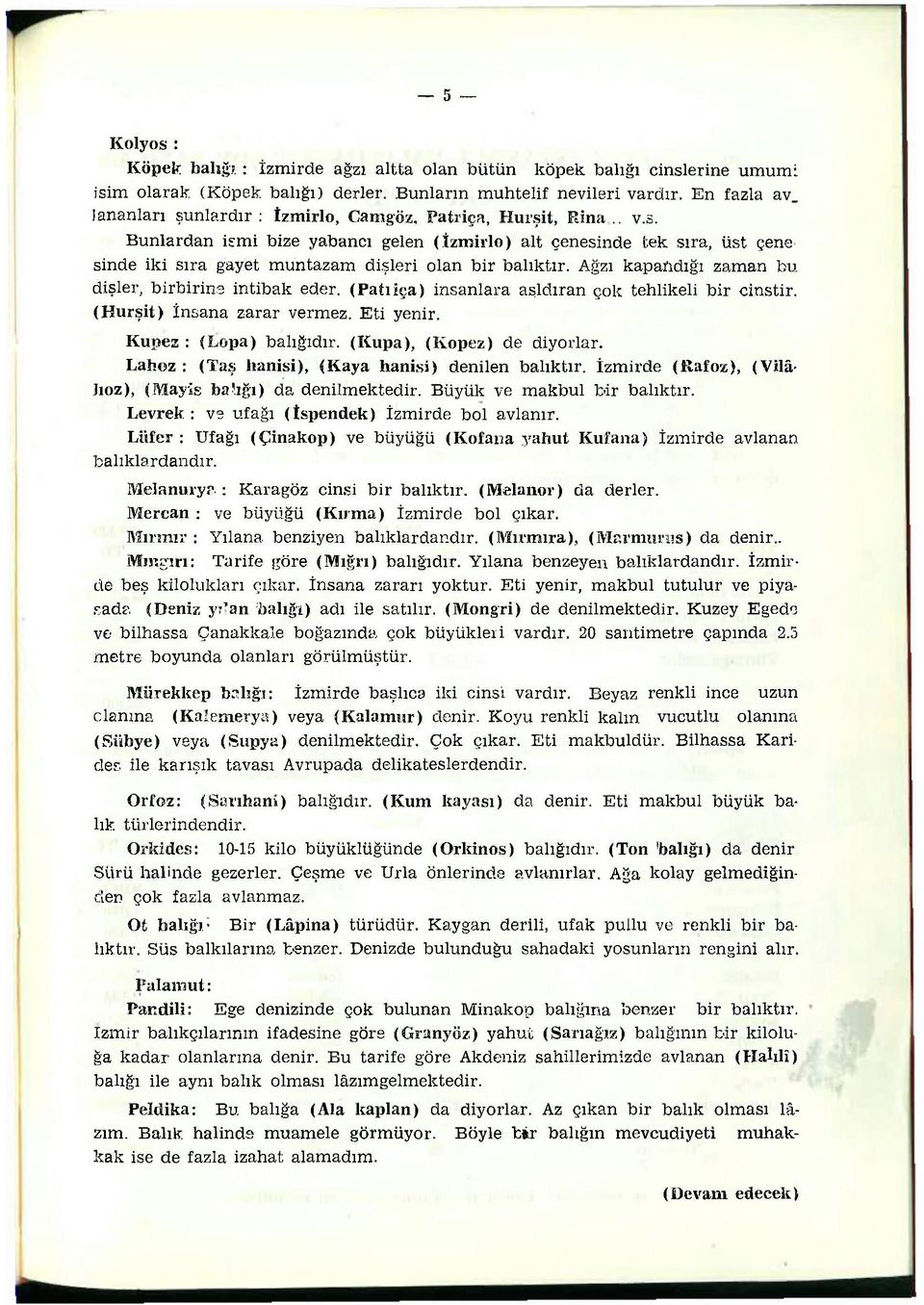 Ağzı kapandığı zaman bu dişler, birbirine intibak eder. (Patıiça) insanlara aşldıran çok tehlikeli bir cinstir. (Hurşit) İnsana zarar vermez. Eti yenir. Kupes : (Lopa) balığıdır.