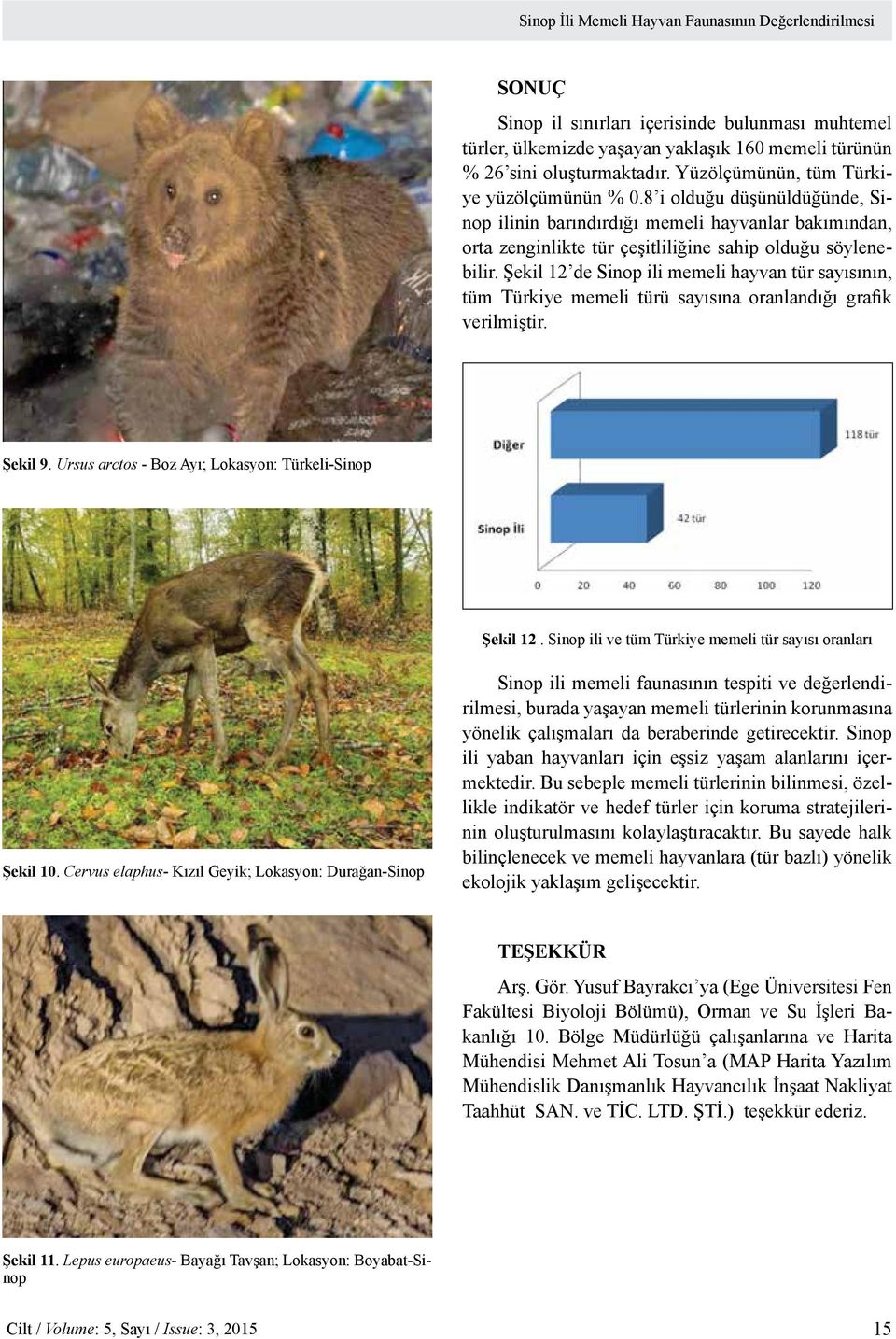 Şekil 12 de Sinop ili memeli hayvan tür sayısının, tüm Türkiye memeli türü sayısına oranlandığı grafik verilmiştir. Şekil 9. Ursus arctos - Boz Ayı; Lokasyon: Türkeli-Sinop Şekil 12.