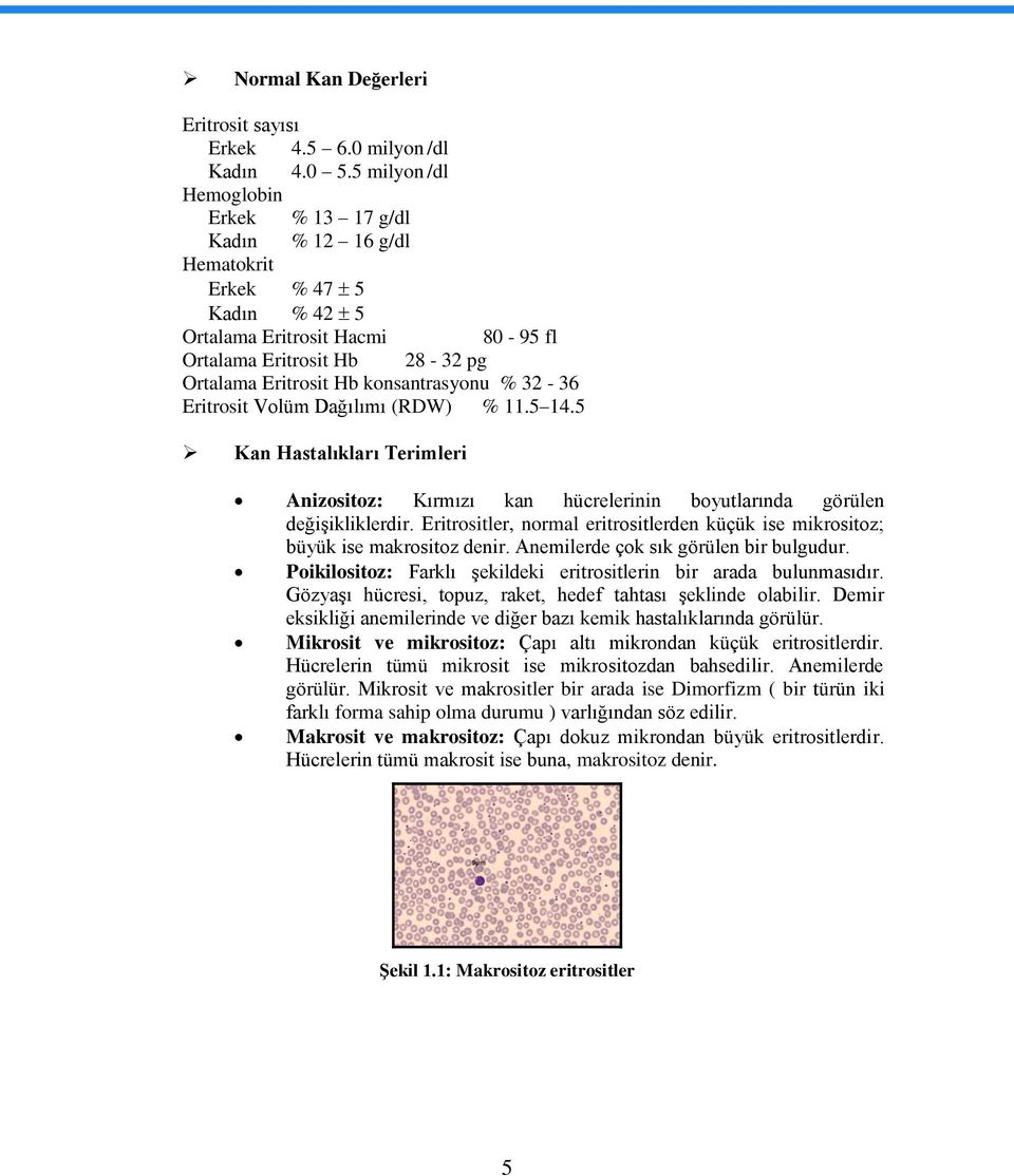 konsantrasyonu % 32-36 Eritrosit Volüm Dağılımı (RDW) % 11.5 14.5 Kan Hastalıkları Terimleri Anizositoz: Kırmızı kan hücrelerinin boyutlarında görülen değiģikliklerdir.