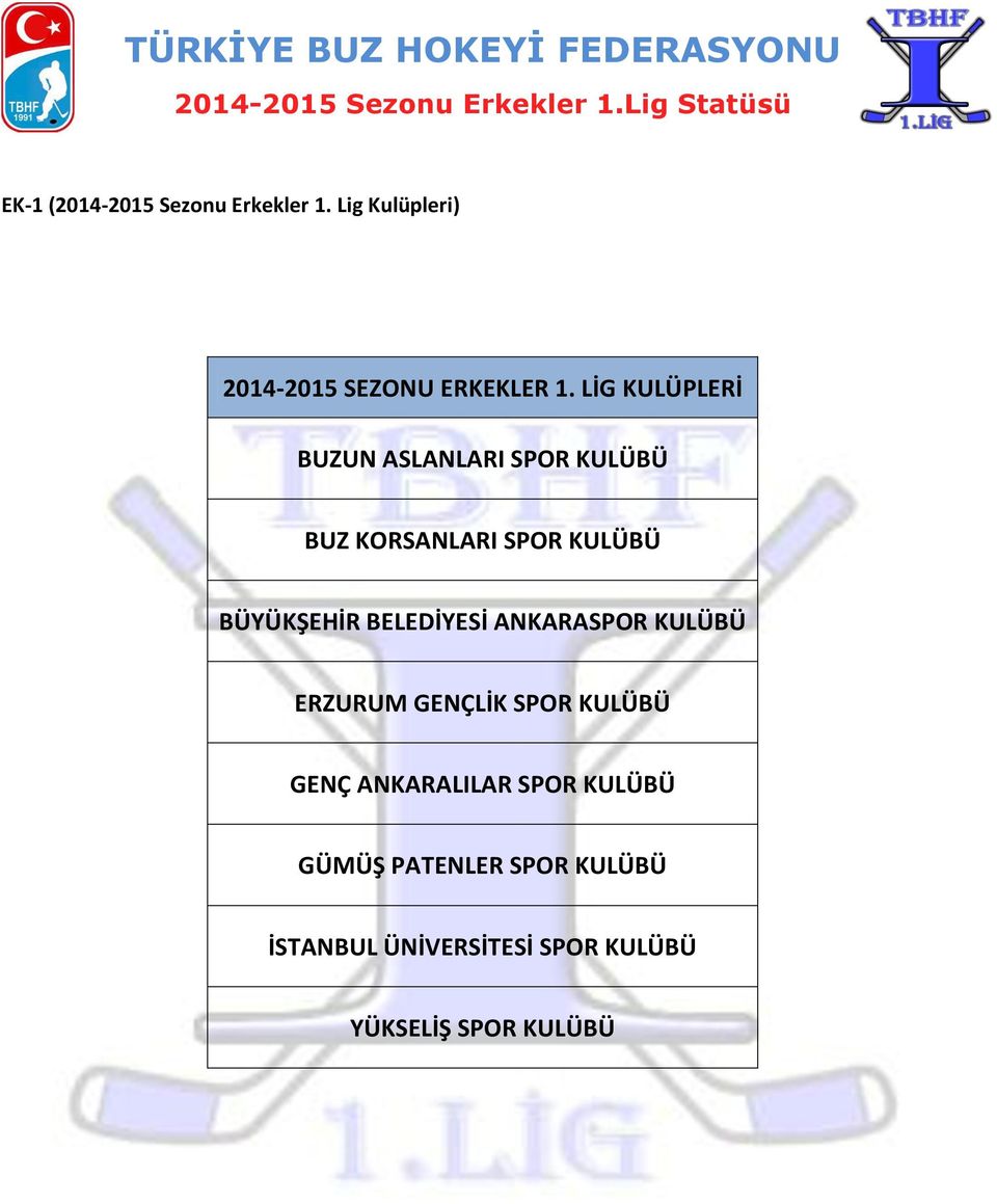 BELEDİYESİ ANKARASPOR KULÜBÜ ERZURUM GENÇLİK SPOR KULÜBÜ GENÇ ANKARALILAR SPOR