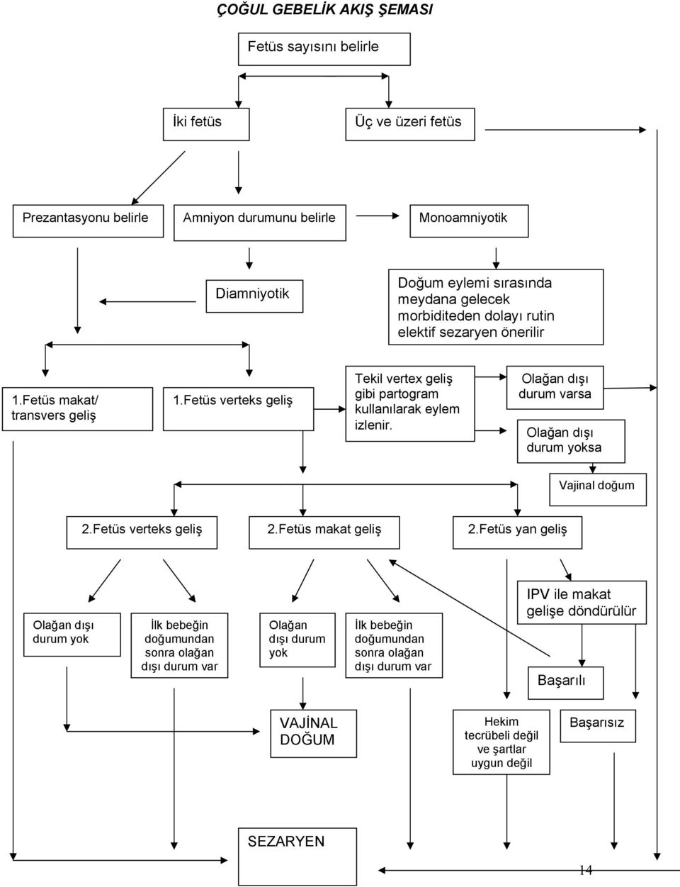 Olağan dışı durum varsa Olağan dışı durum yoksa Vajinal doğum 2.Fetüs verteks geliş 2.Fetüs makat geliş 2.