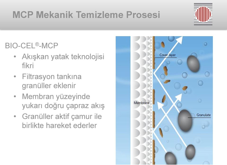 granüller eklenir Membran yüzeyinde yukarı doğru