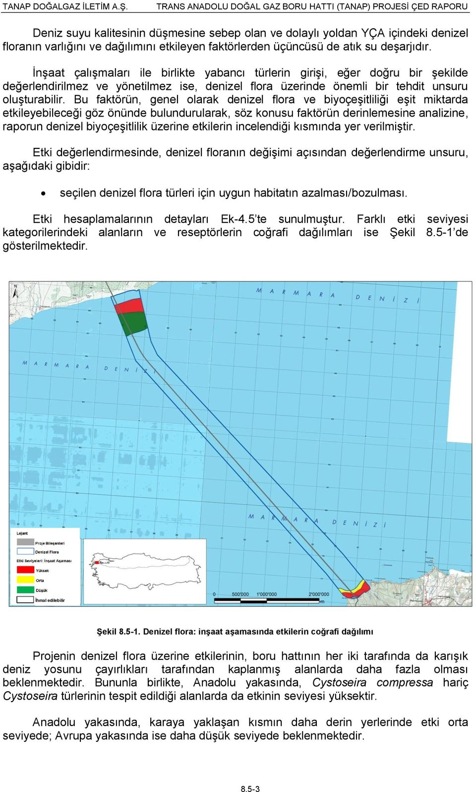 Bu faktörün, genel olarak denizel flora ve biyoçeşitliliği eşit miktarda etkileyebileceği göz önünde bulundurularak, söz konusu faktörün derinlemesine analizine, raporun denizel biyoçeşitlilik
