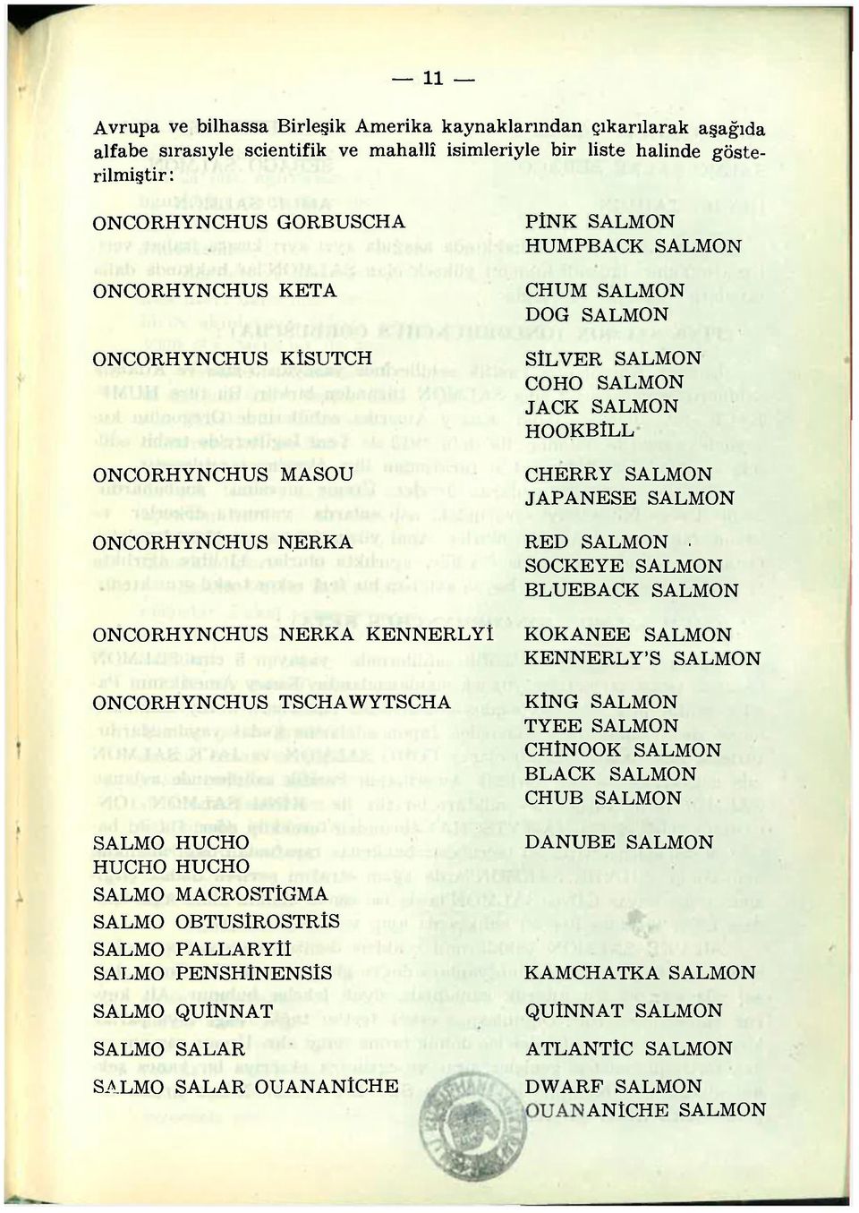 ERKA ONCORHYNCHUS NERKA KENNERLYİ ONCORHYNCHUS TSCHAWYTSCHA SALMO HUCHO HUCHO HUCHO SALMO MACROSTÍGMA SALMO OBTUSlROSTRÍS SALMO PALLARYli SALMO PENSHlNENSÍS SALMO QUlNNAT SALMO SALAR SALMO SALAR