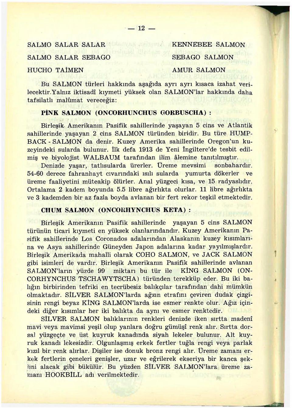 Amerikanın Pasifik sahillerinde yaşayan 5 cins ve Atlantik sahillerinde yaşayan 2 cins SALMON türünden biridir. Bu türe HUMP- BACK - SALMON da denir.