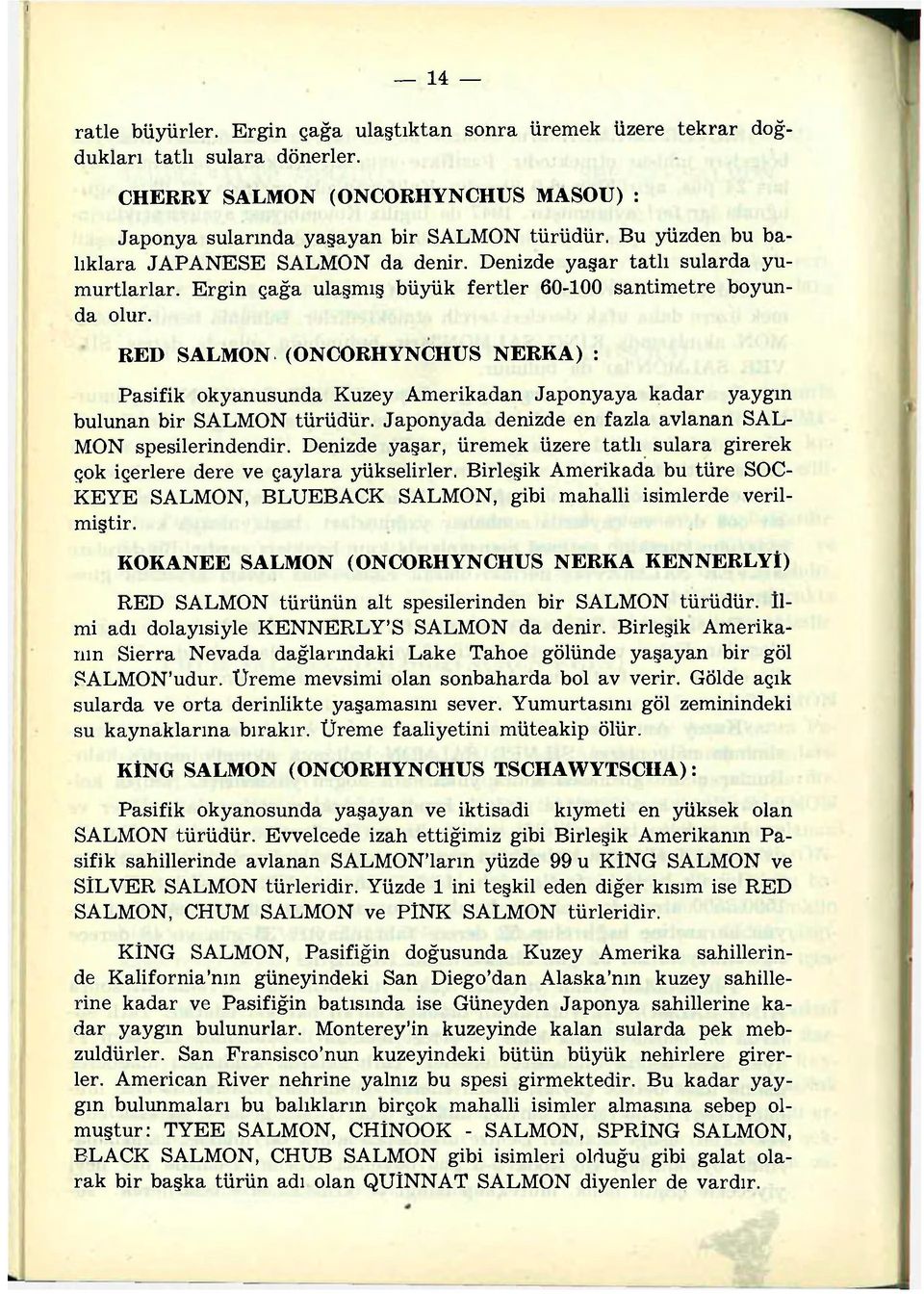 RED SALMON (ONCORHYNCHUS NERKA): Pasifik okyanusunda Kuzey Amerikadan Japonyaya kadar yaygın bulunan bir SALMON türüdür. Japonyada denizde en fazla avlanan SAL- MON spesilerindendir.