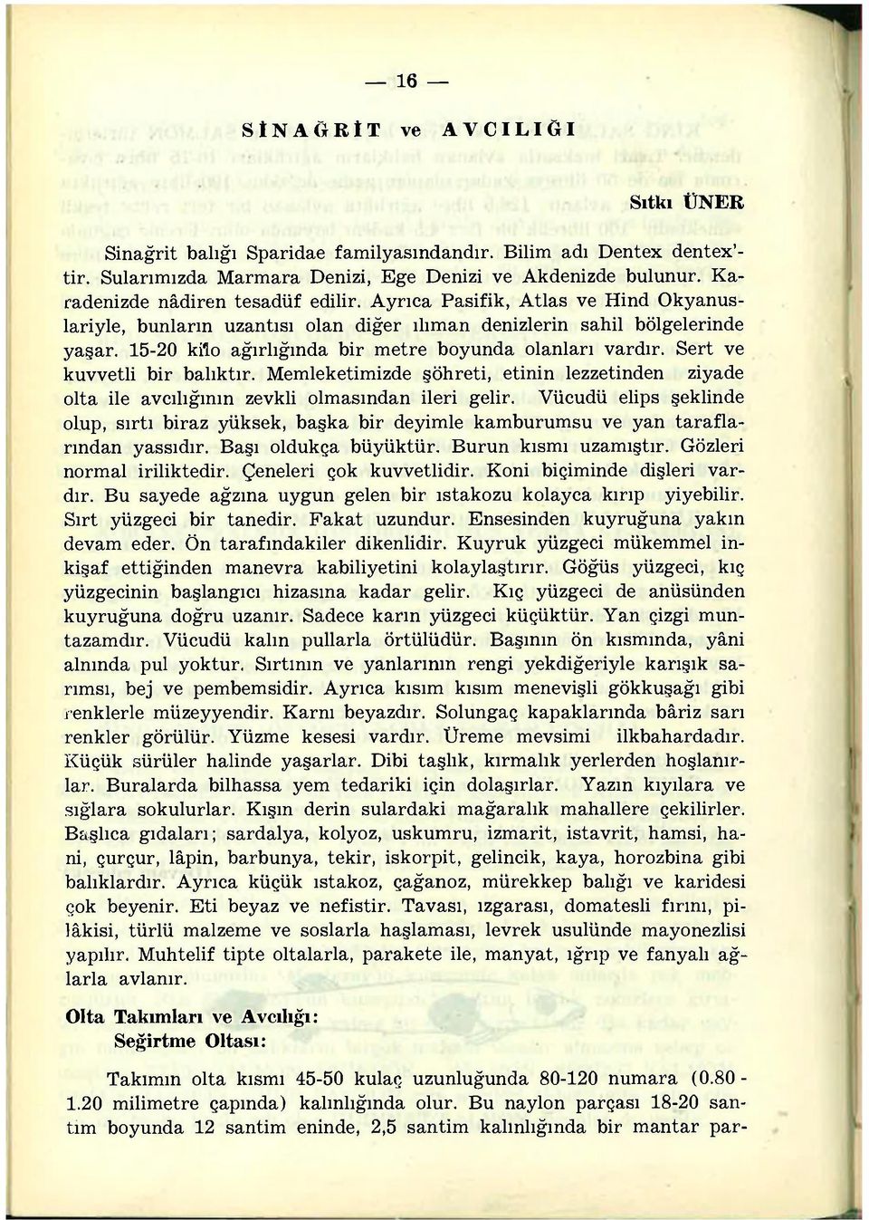 15-20 kilo ağırlığında bir metre boyunda olanları vardır. Sert ve kuvvetli bir balıktır. Memleketimizde şöhreti, etinin lezzetinden ziyade olta ile avcılığının zevkli olmasından ileri gelir.