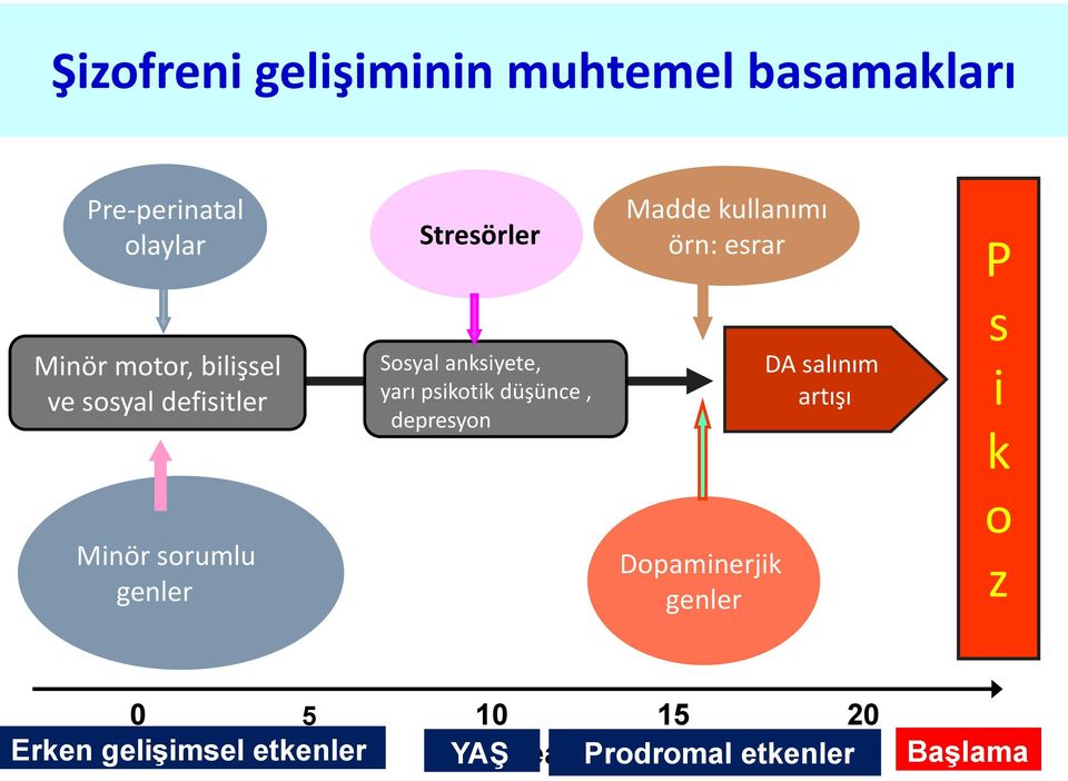 depresyon DA salınım artışı s i k Minör sorumlu genler Dopaminerjik genler o z 0 5 Erken geliģimsel