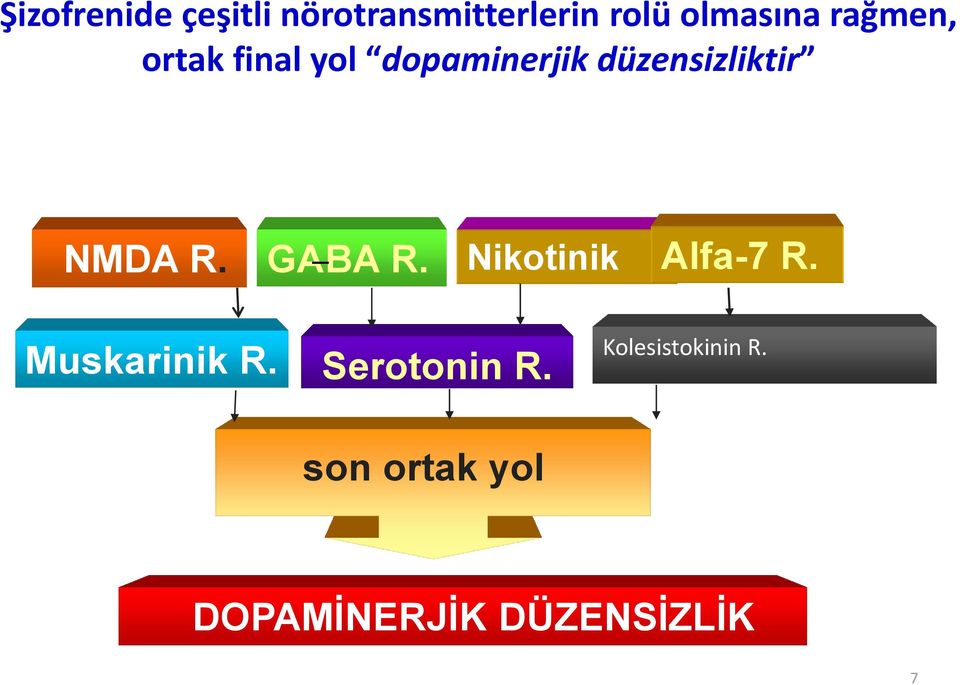 R. GABA R. Nikotinik Alfa-7 R. Muskarinik R. Serotonin R.