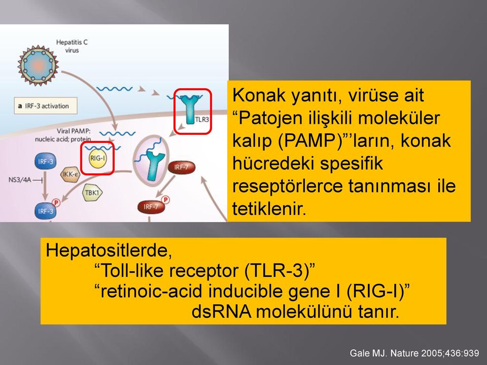 tetiklenir.