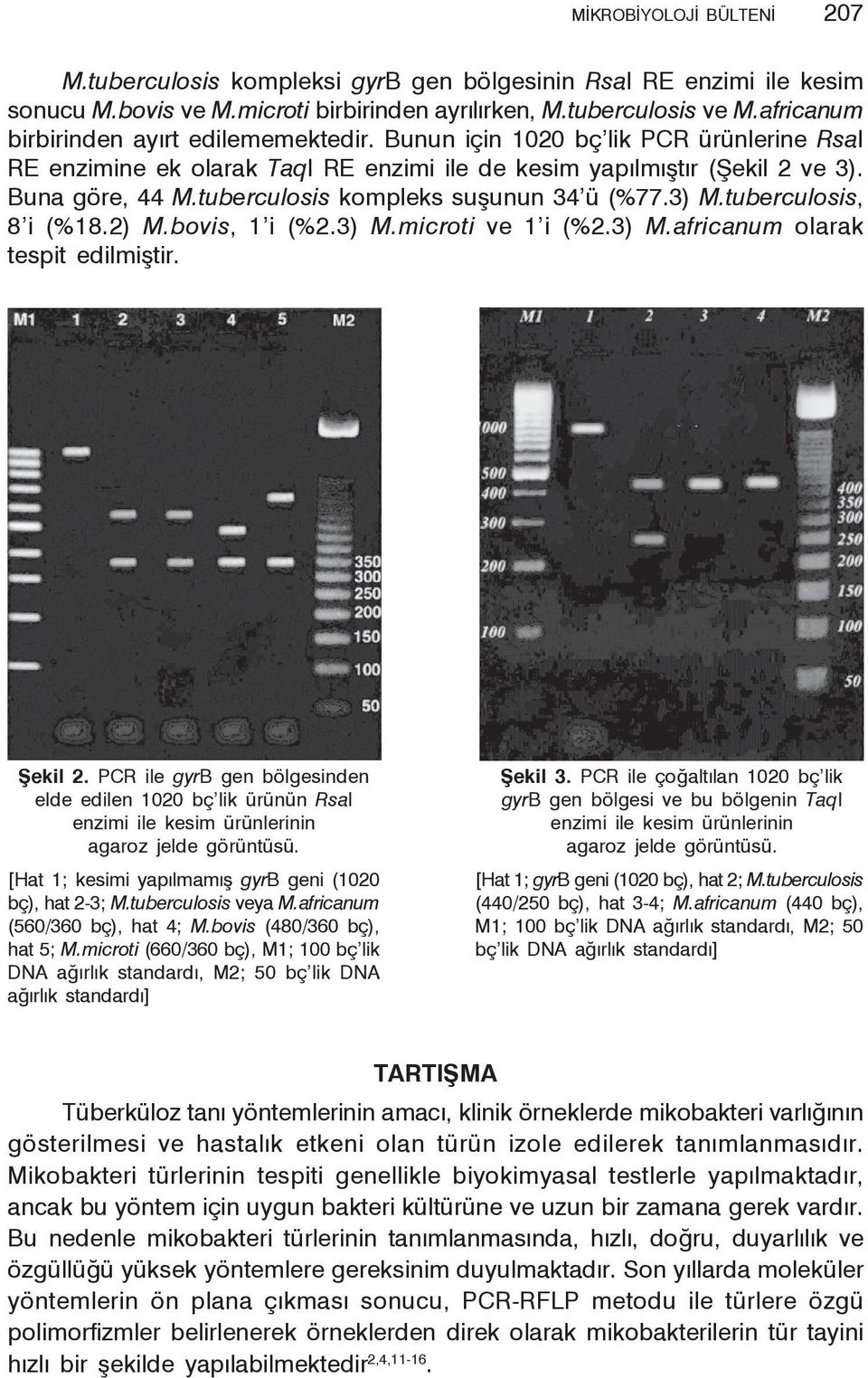 tuberculosis kompleks suşunun 34 ü (%77.3) M.tuberculosis, 8 i (%18.2) M.bovis, 1 i (%2.3) M.microti ve 1 i (%2.3) M.africanum olarak tespit edilmiştir. Şekil 2.