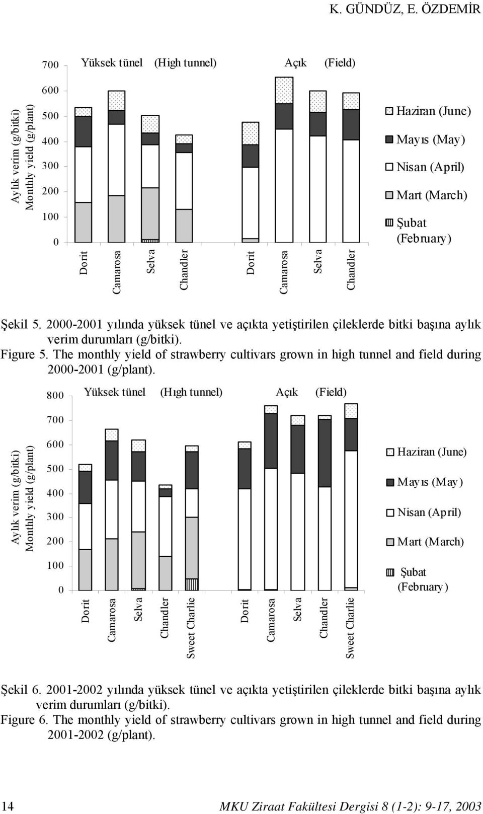 Dorit Camarosa Selva Chandler Dorit Camarosa Selva Chandler Şekil 5. 2000-2001 yılında yüksek tünel ve açıkta yetiştirilen çileklerde bitki başına aylık verim durumları (g/bitki). Figure 5.