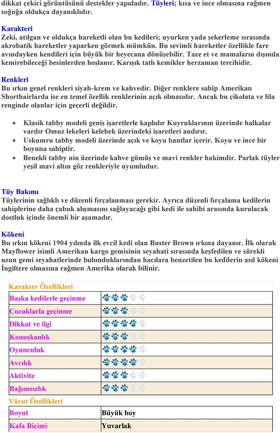 Bu sevimli hareketler özellikle fare avındayken kendileri için büyük bir heyecana dönüşebilir. Taze et ve mamaların dışında kemirebileceği besinlerden hoşlanır.