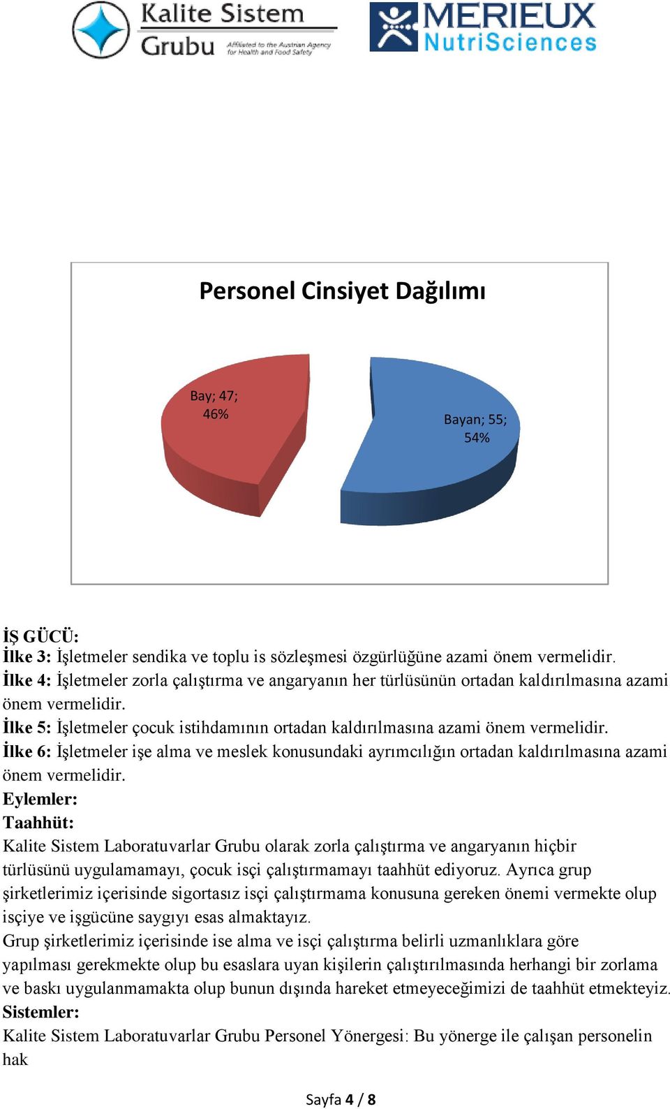 İlke 6: İşletmeler işe alma ve meslek konusundaki ayrımcılığın ortadan kaldırılmasına azami önem vermelidir.