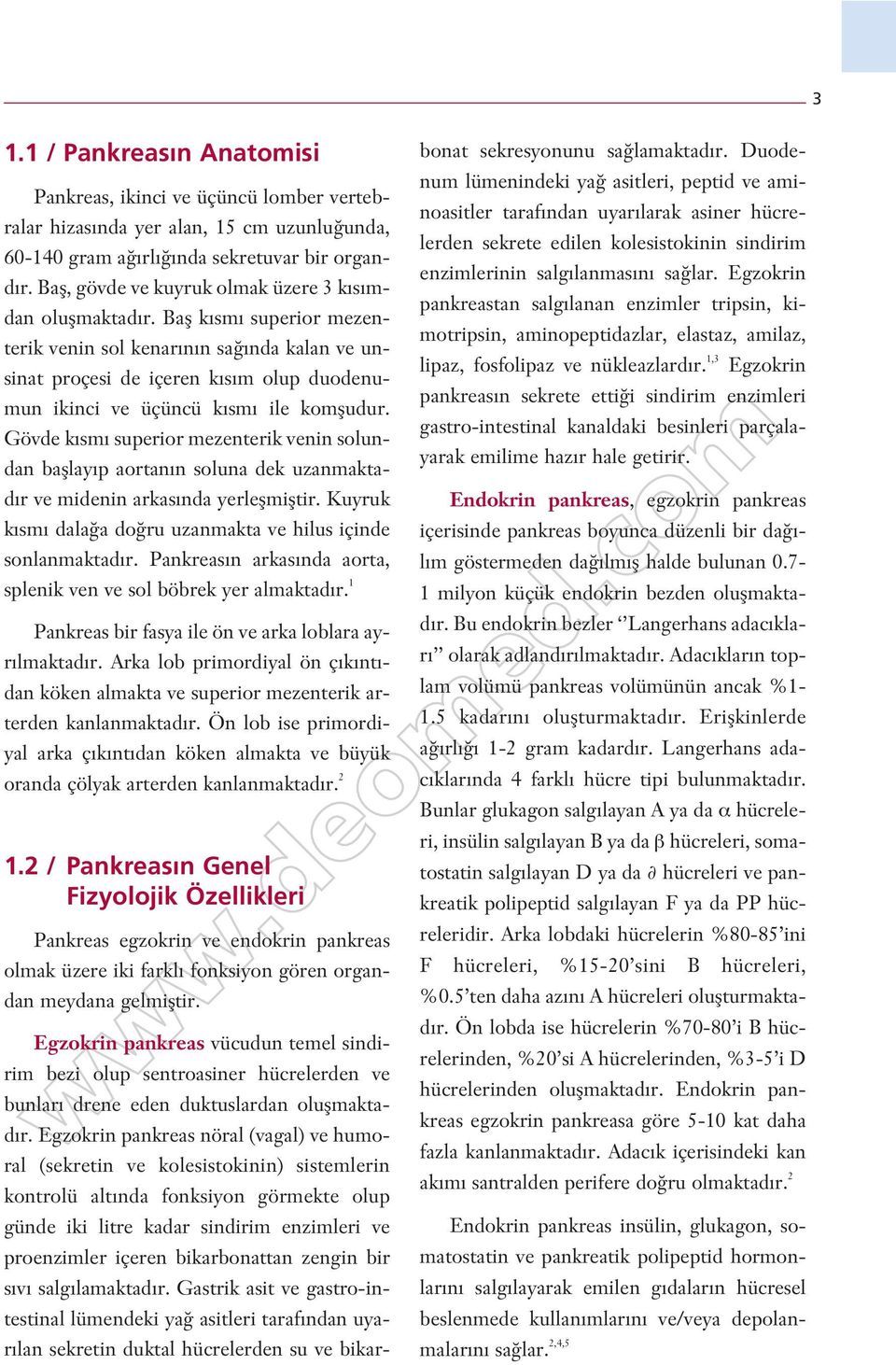 Gövde k m uperior mezenterik venin olundan bafllay p aortan n oluna dek uzanmaktad r ve midenin arka nda yerleflmifltir. Kuyruk k m dala a do ru uzanmakta ve hilu içinde onlanmaktad r.