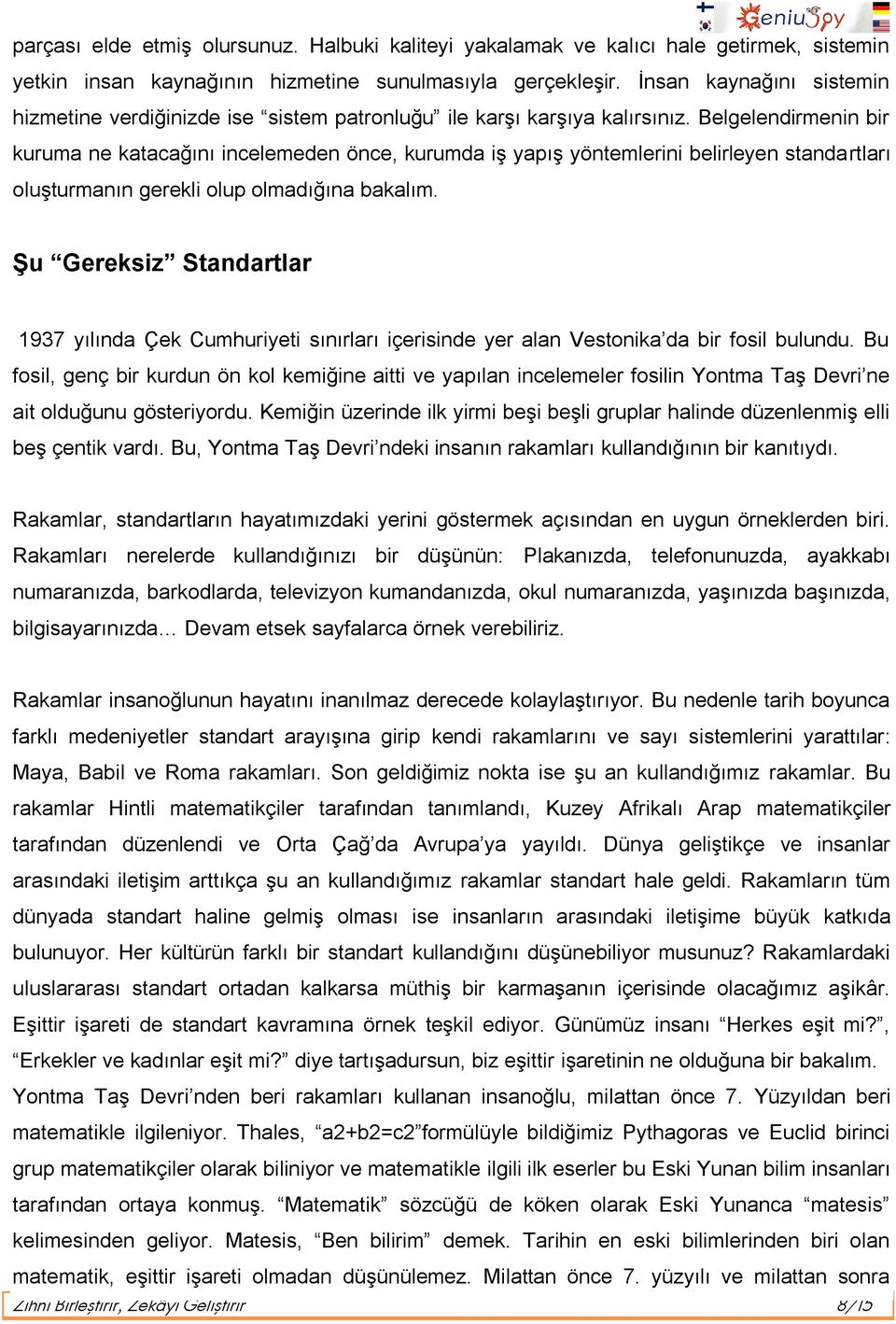 Belgelendirmenin bir kuruma ne katacağını incelemeden önce, kurumda iş yapış yöntemlerini belirleyen standartları oluşturmanın gerekli olup olmadığına bakalım.