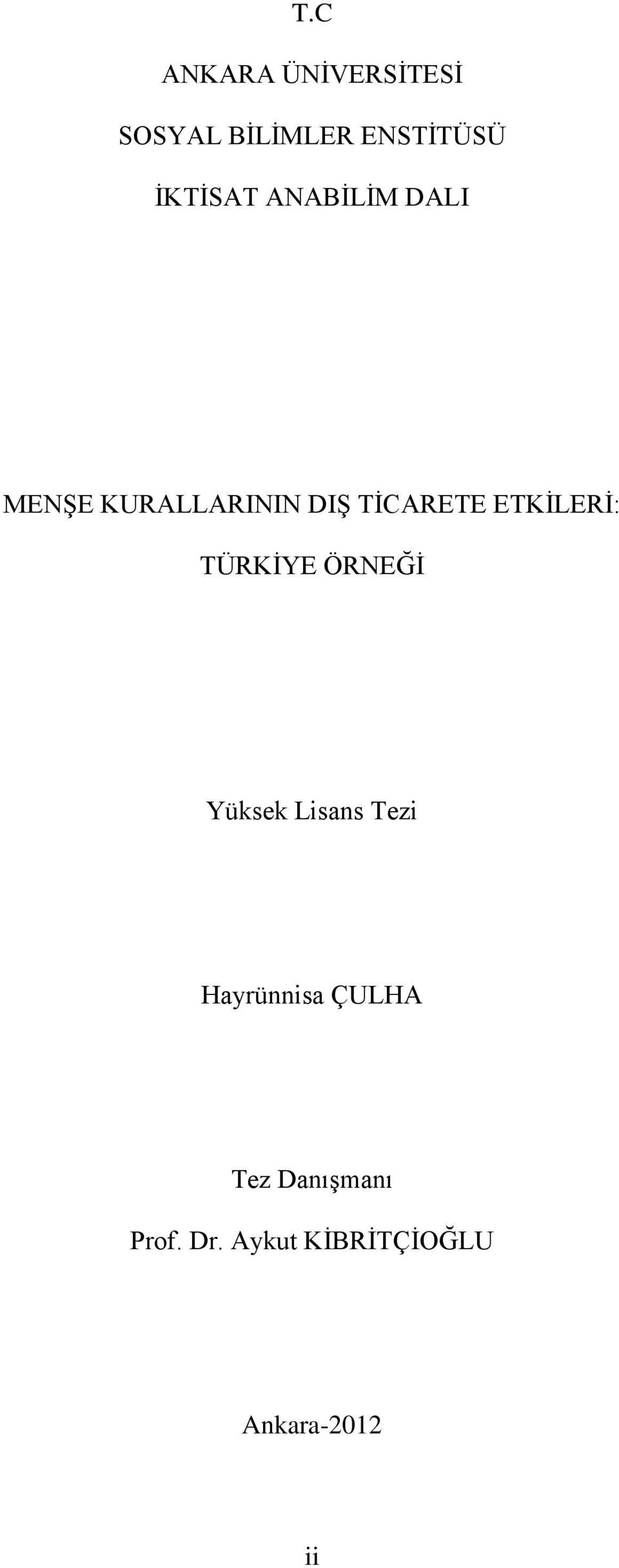 ETKİLERİ: TÜRKİYE ÖRNEĞİ Yüksek Lisans Tezi Hayrünnisa