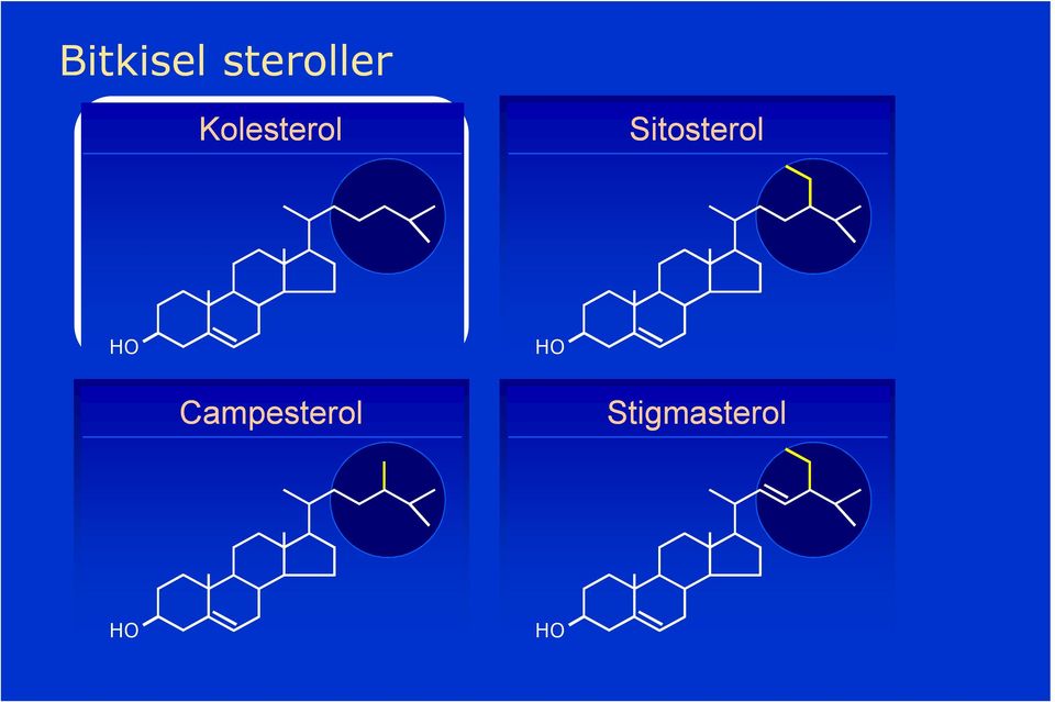 Kolesterol